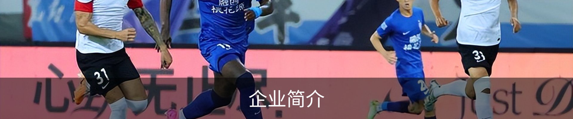 企业简介